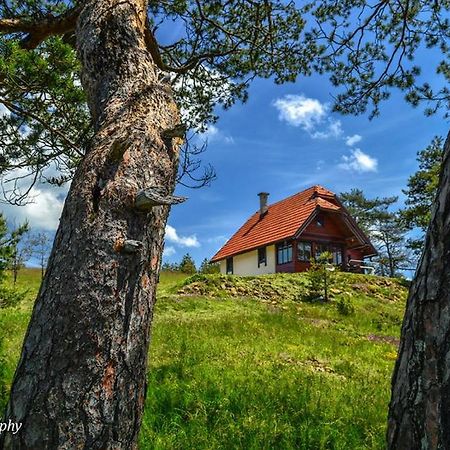 Cottage Vodice Златибор Экстерьер фото